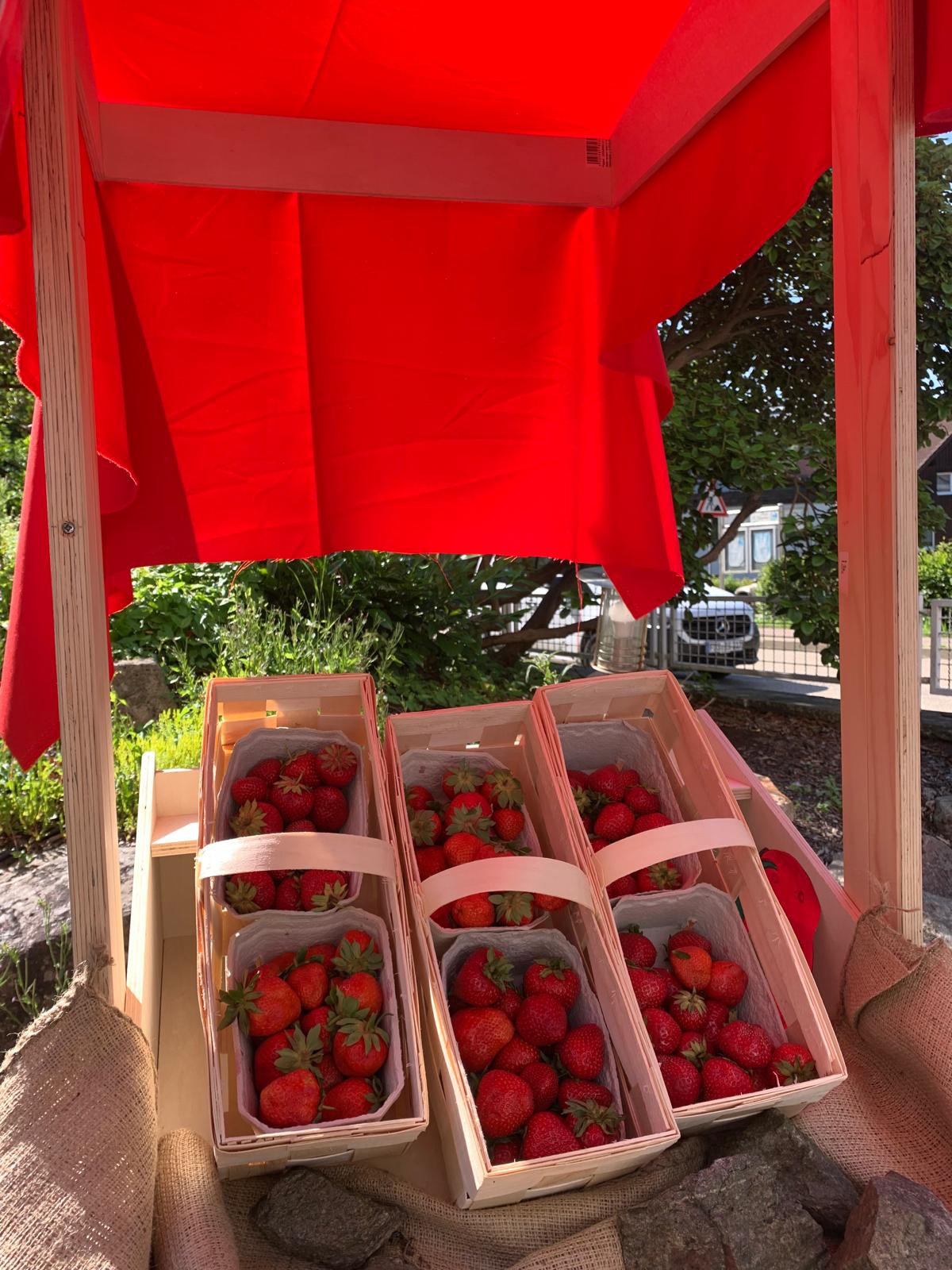 Selbstgebauter Erdbeer-Marktstand