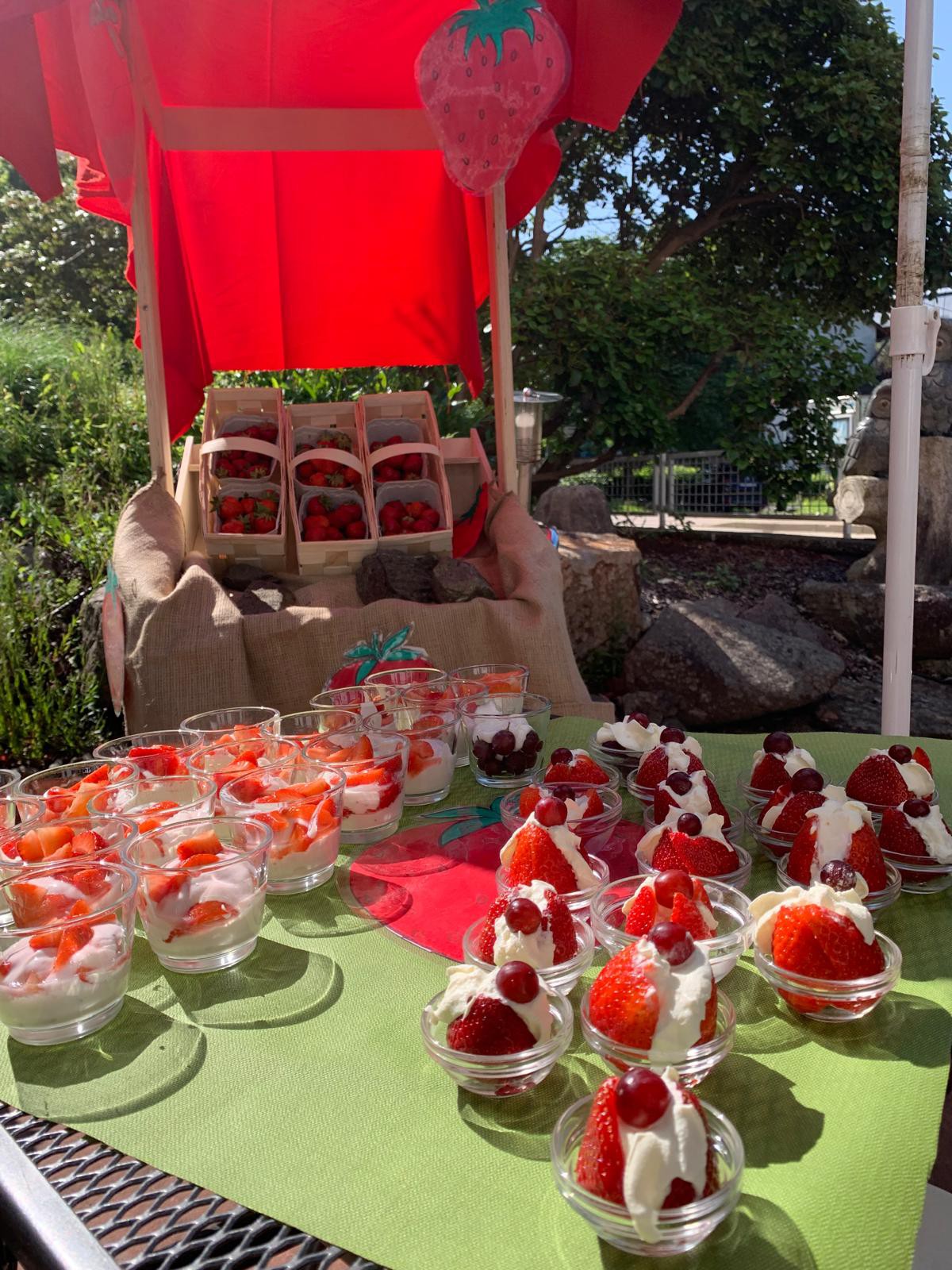 Erdbeeren mit Quark und Sahne