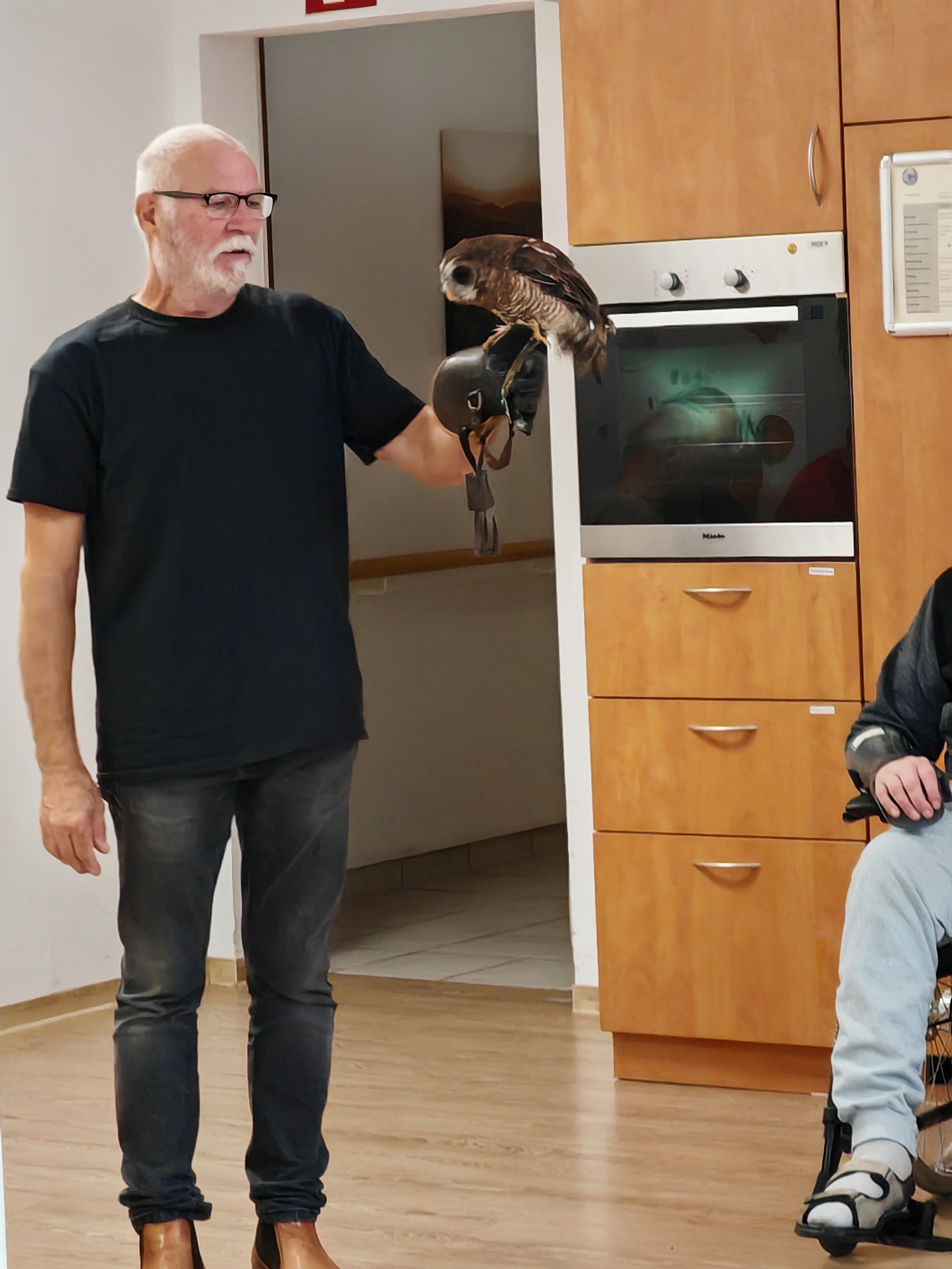 Vorstellung de Falkners