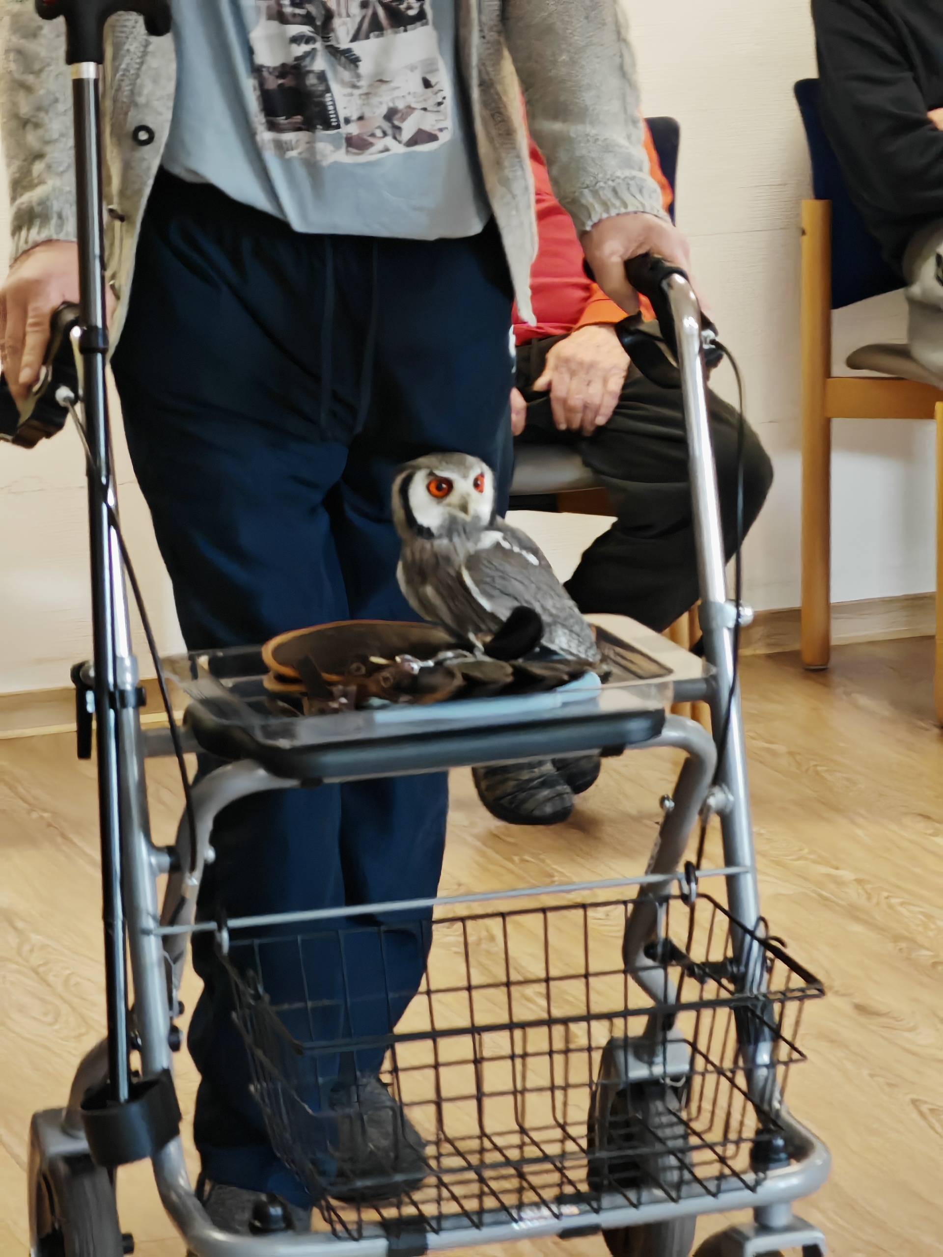 Auf Rollator sitzende Eule