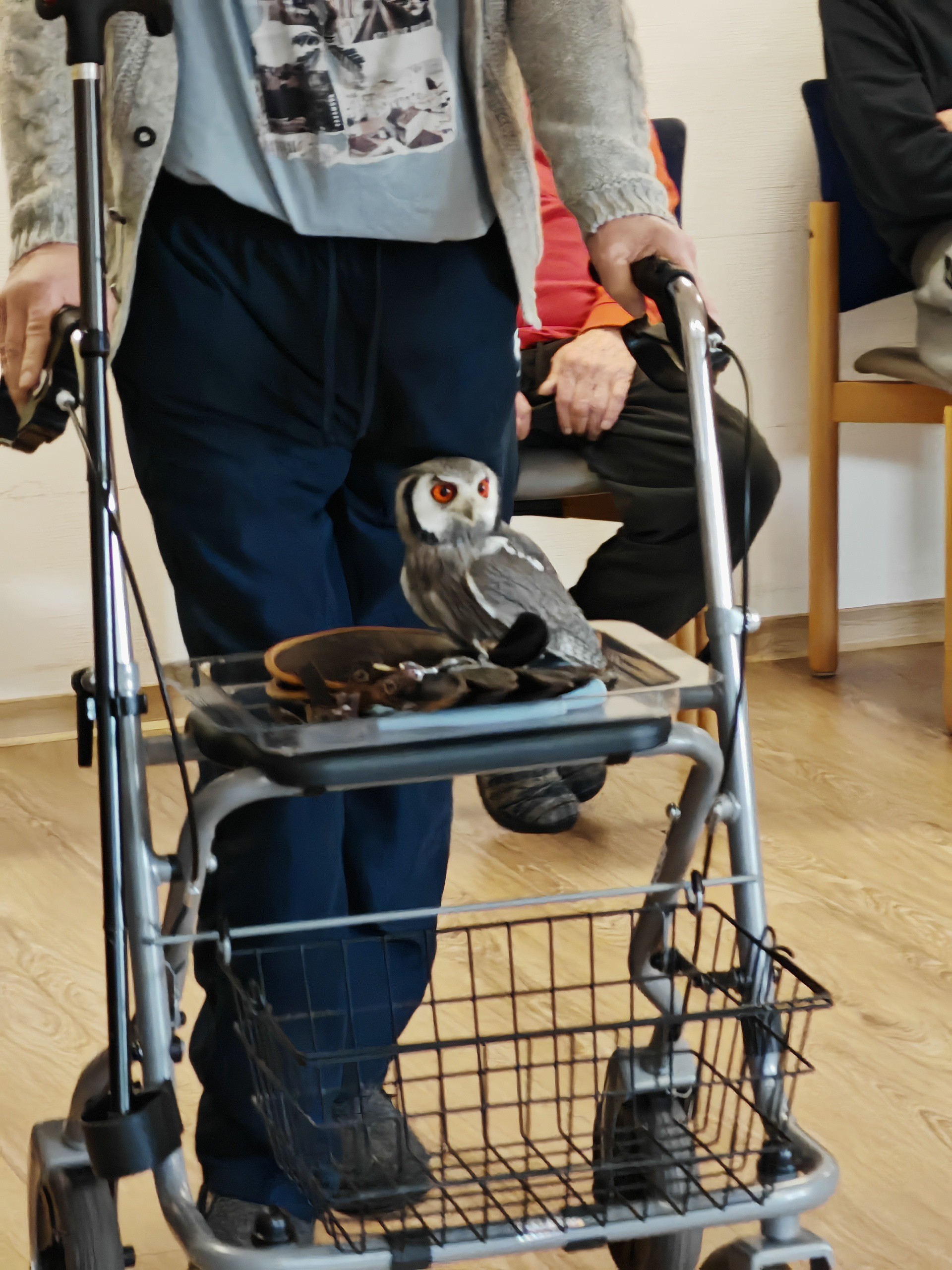 Auf Rollator sitzende Eule