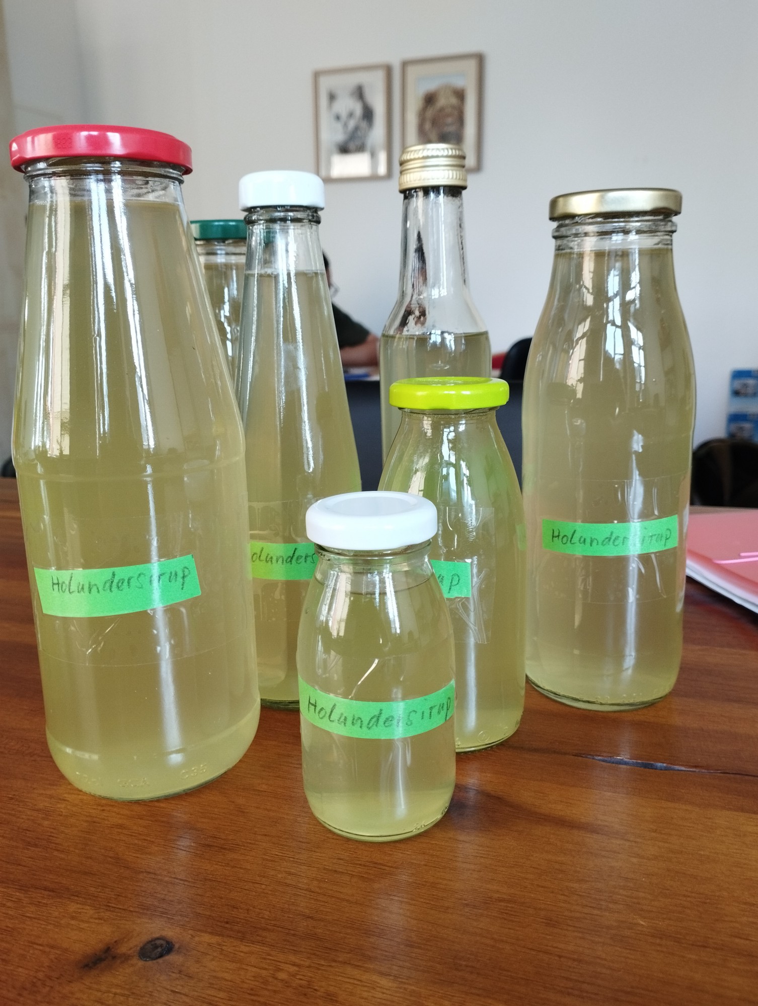 Frischer Holunderblütensirup