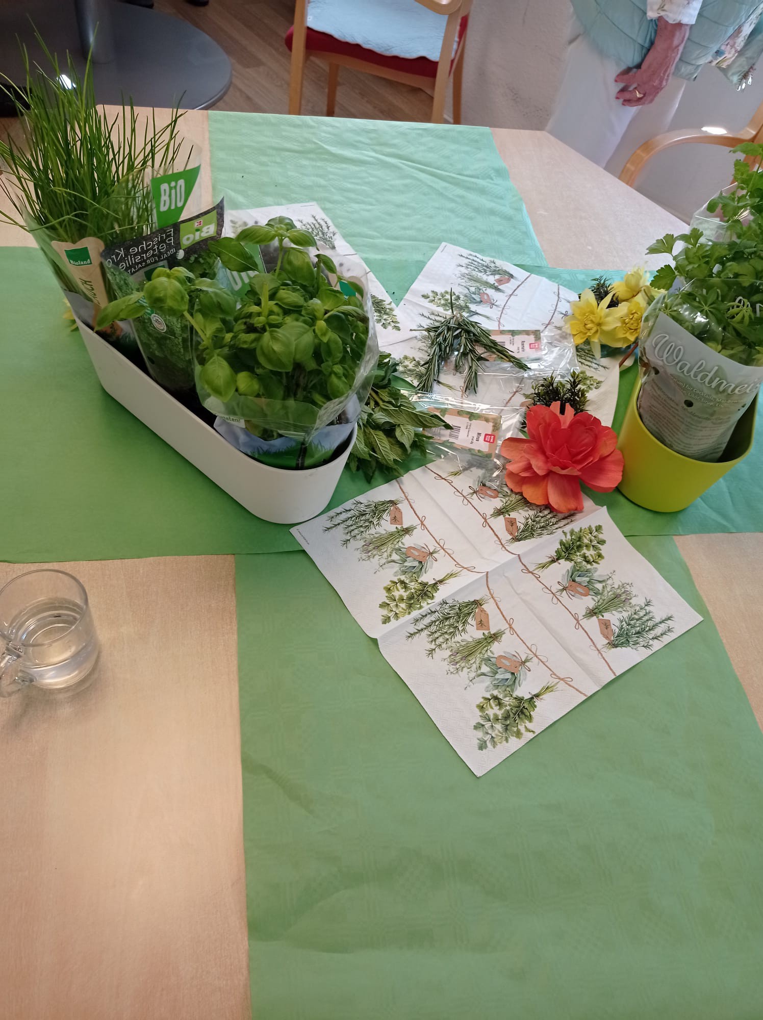 Angerichtete Kräuter