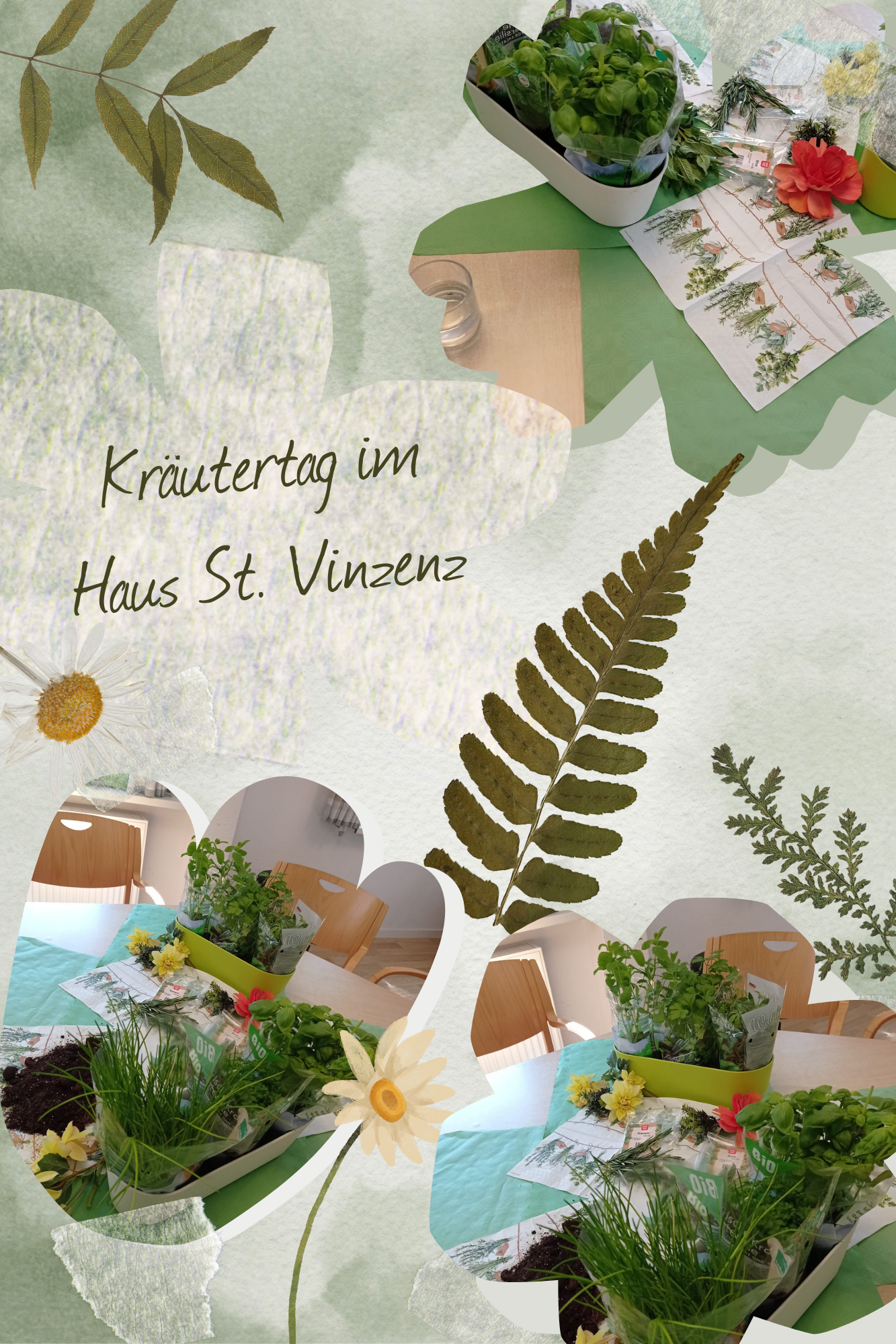 Fotocollage zum Kr&auml;uterquark