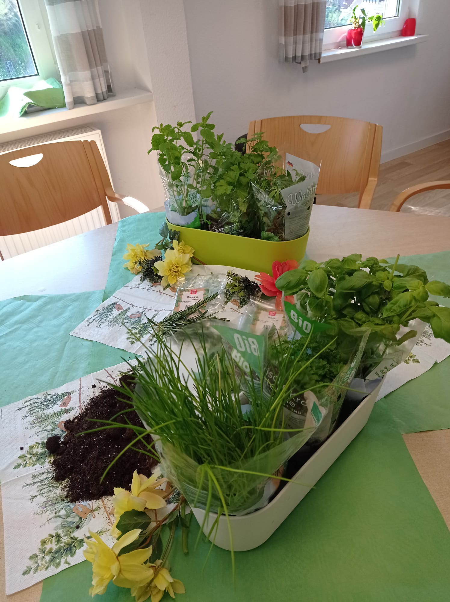 Angerichtete Kr&auml;uter