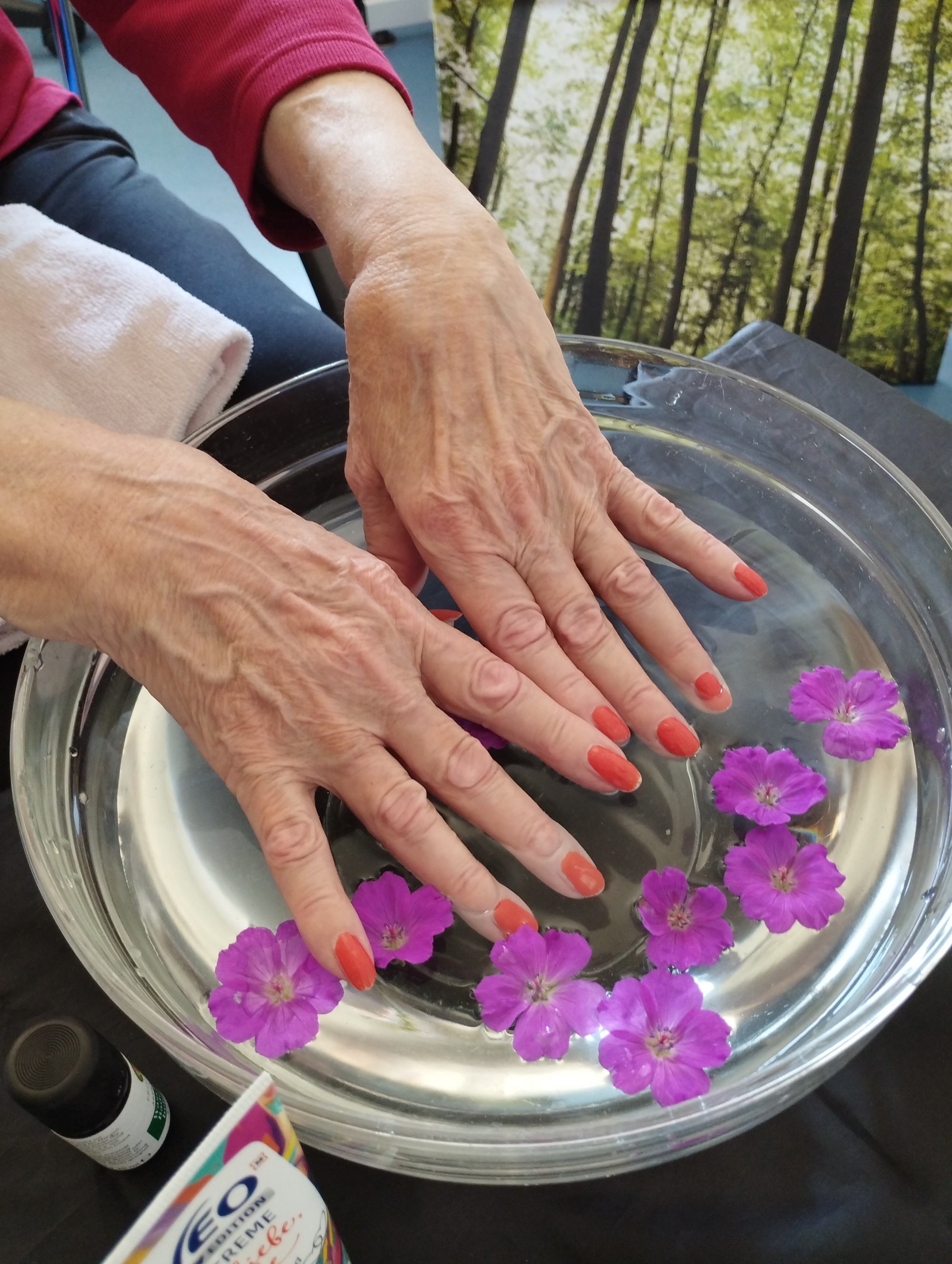 Handbad