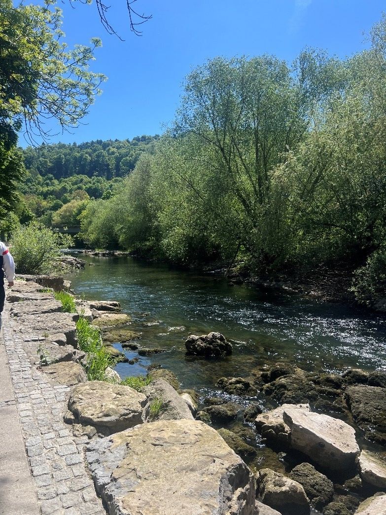 Ausblick auf den Neckar