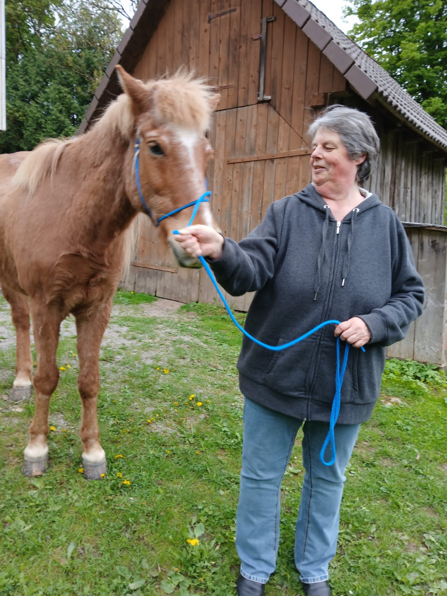 Bewohnerin h&auml;lt Pferd an der Leine