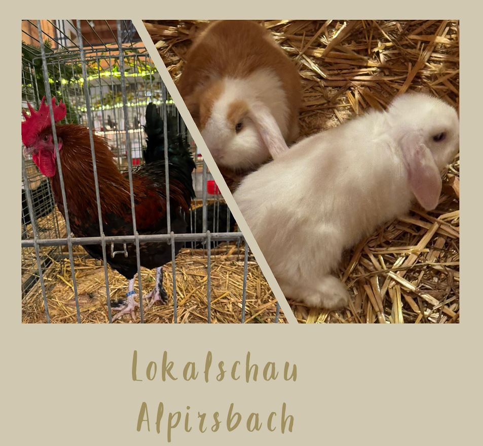 Miksch & Partner
