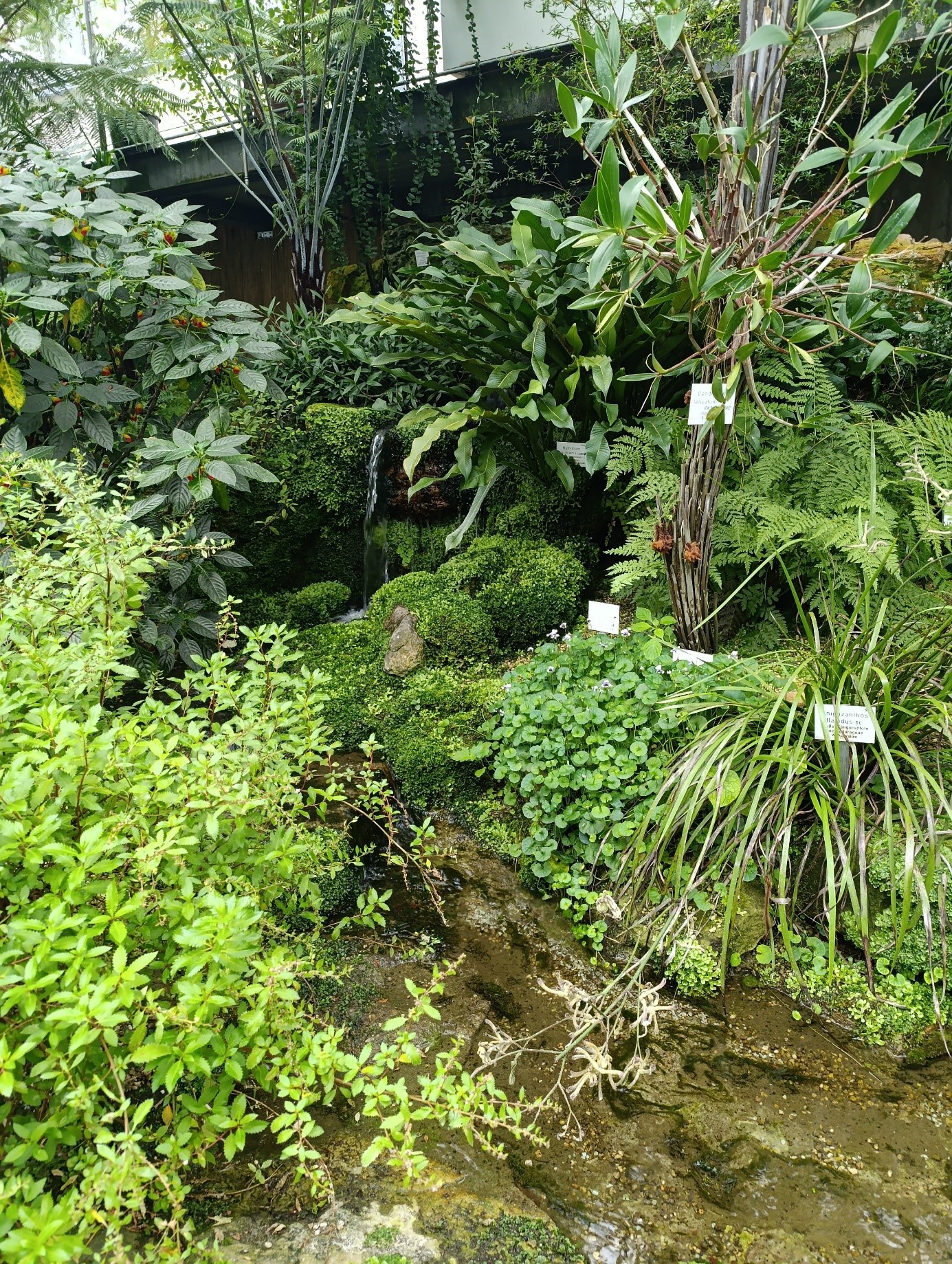 Botanischer Garten