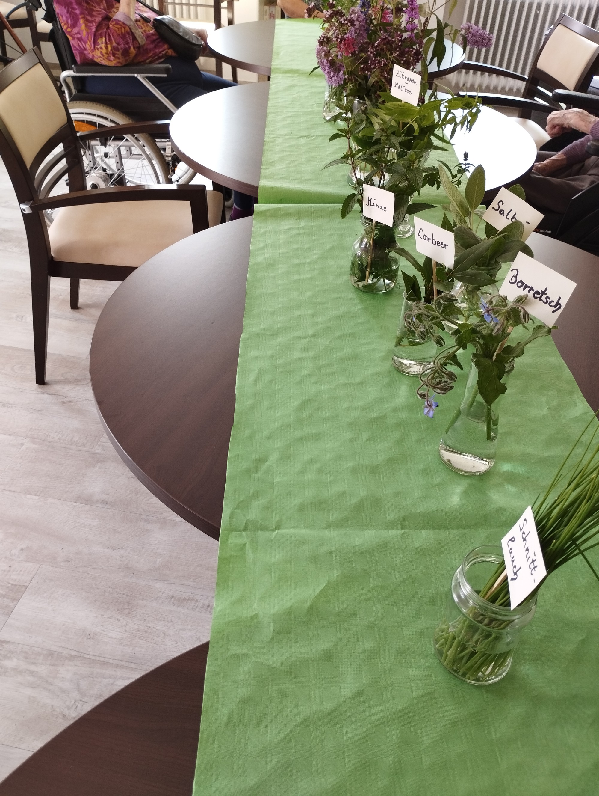 Ausgestellte Beschreibung der Kr&auml;uter