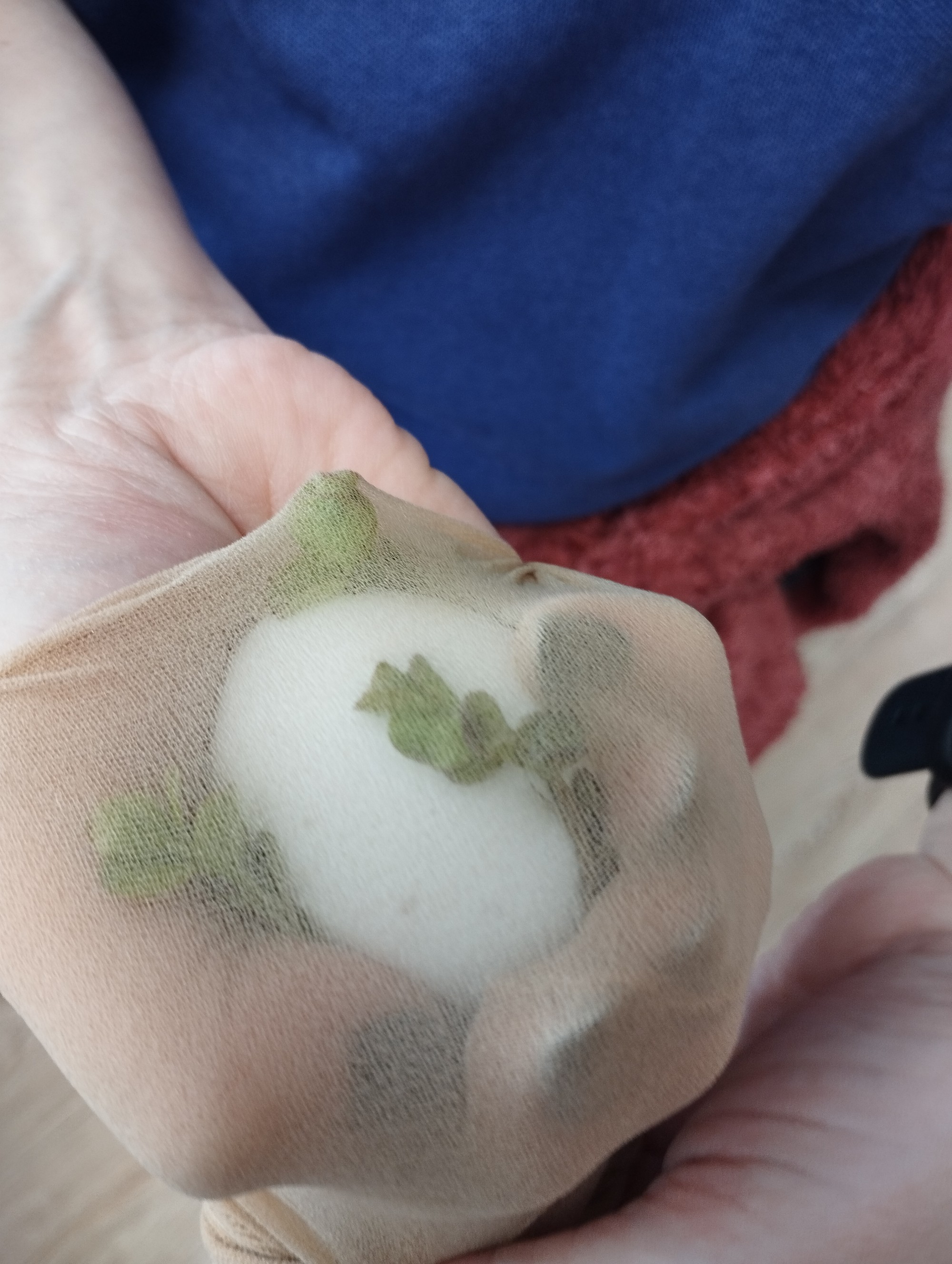 Vorbereitungen f&uuml;r das F&auml;rben der Ostereier