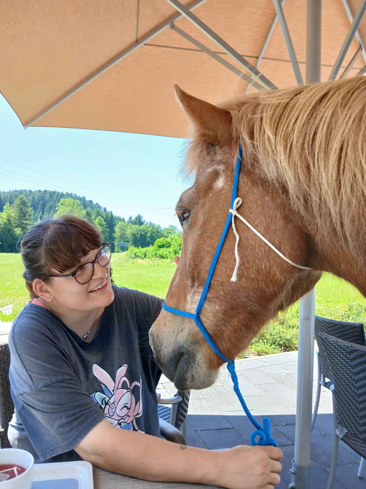 Bewohnerin streichelt ein Pferd