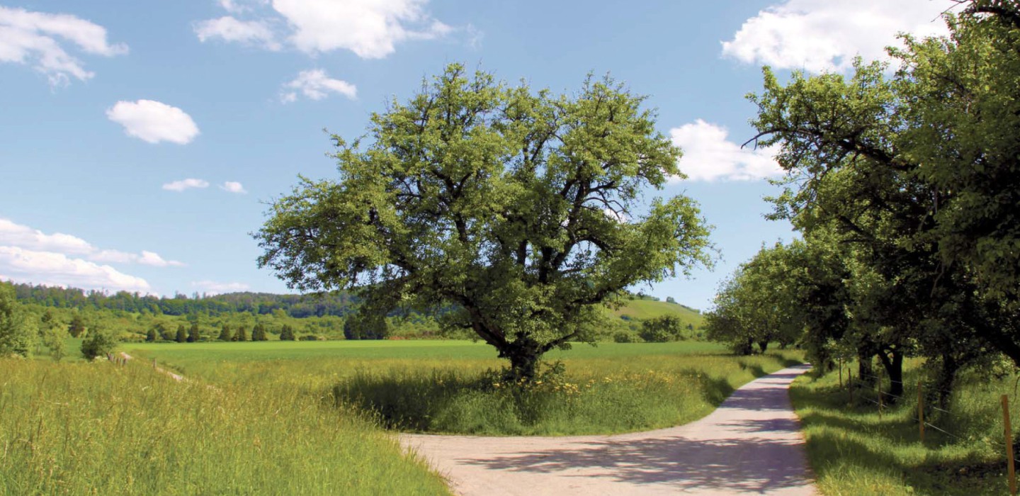 Raum zum gesund werden in der Natur