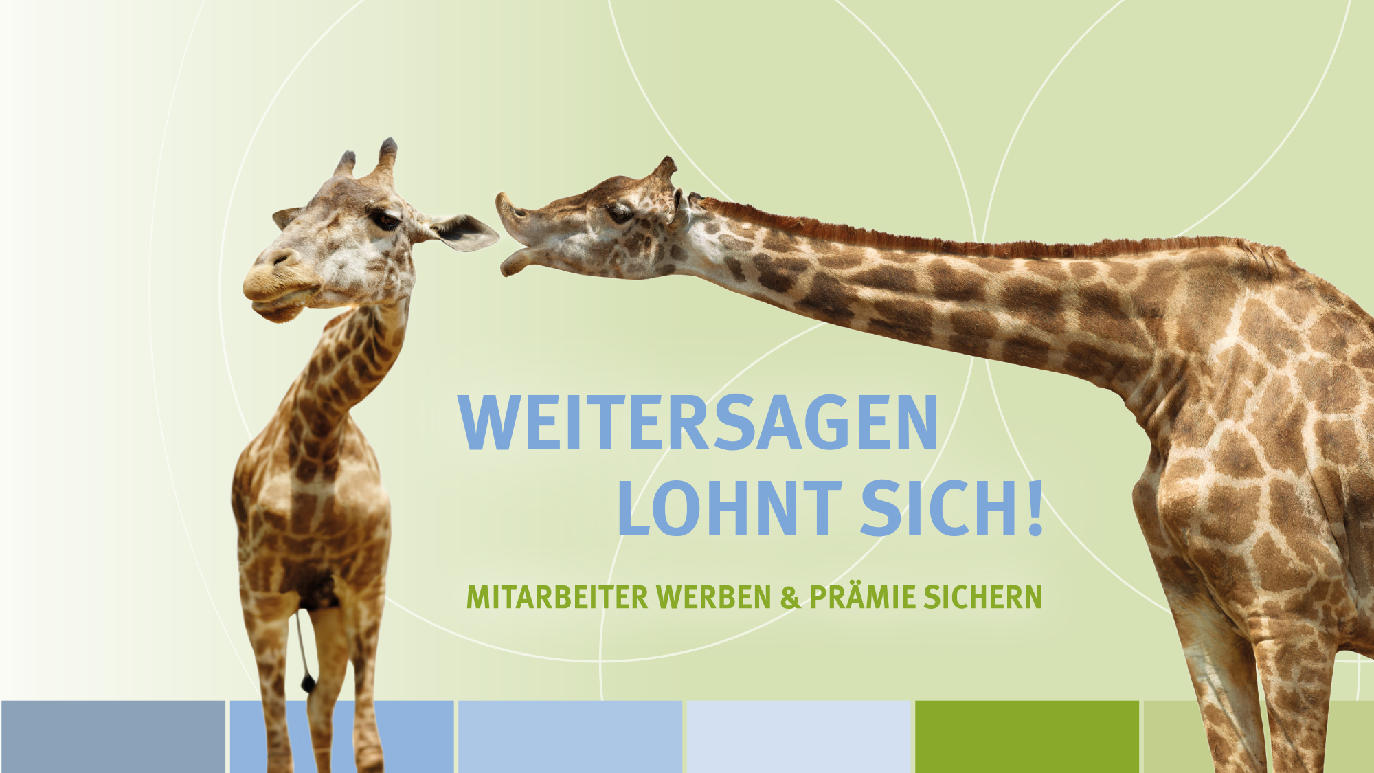 Miksch & Partner